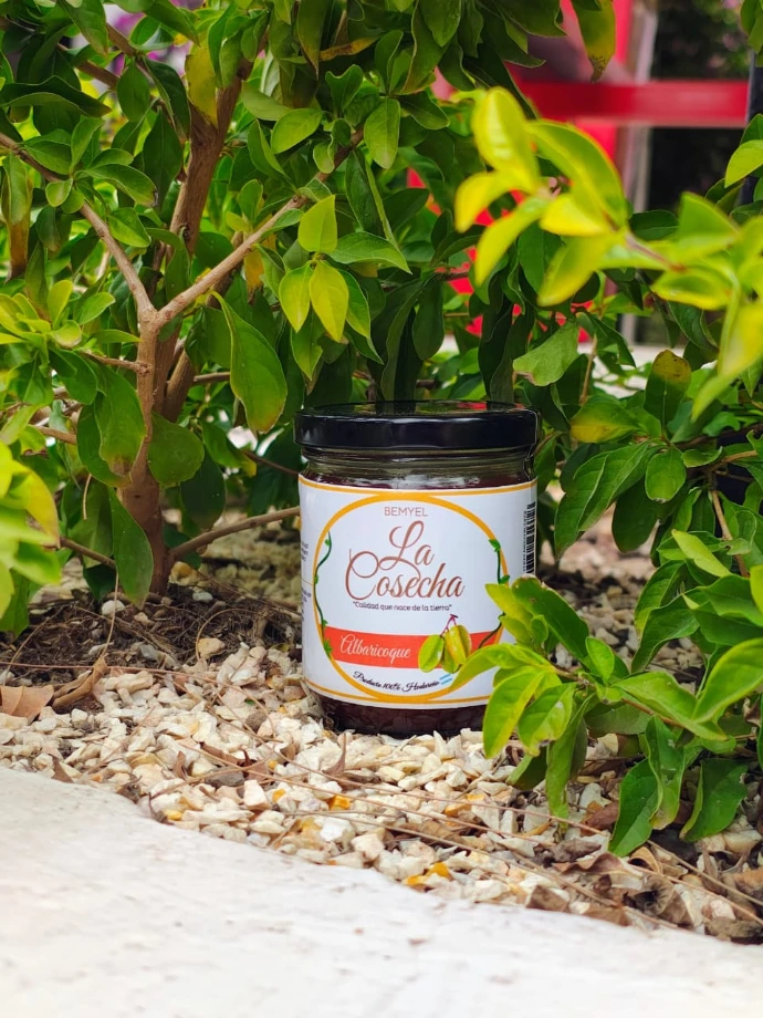 Mermelada Albaricoque