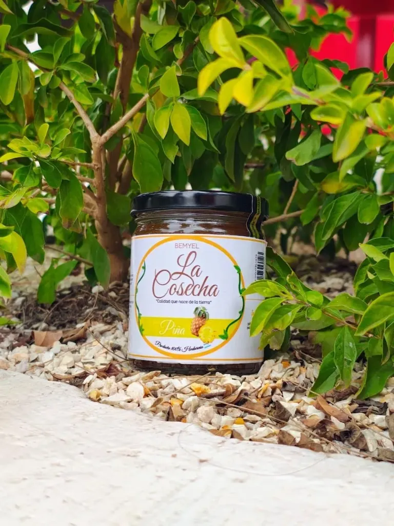 Mermelada Piña