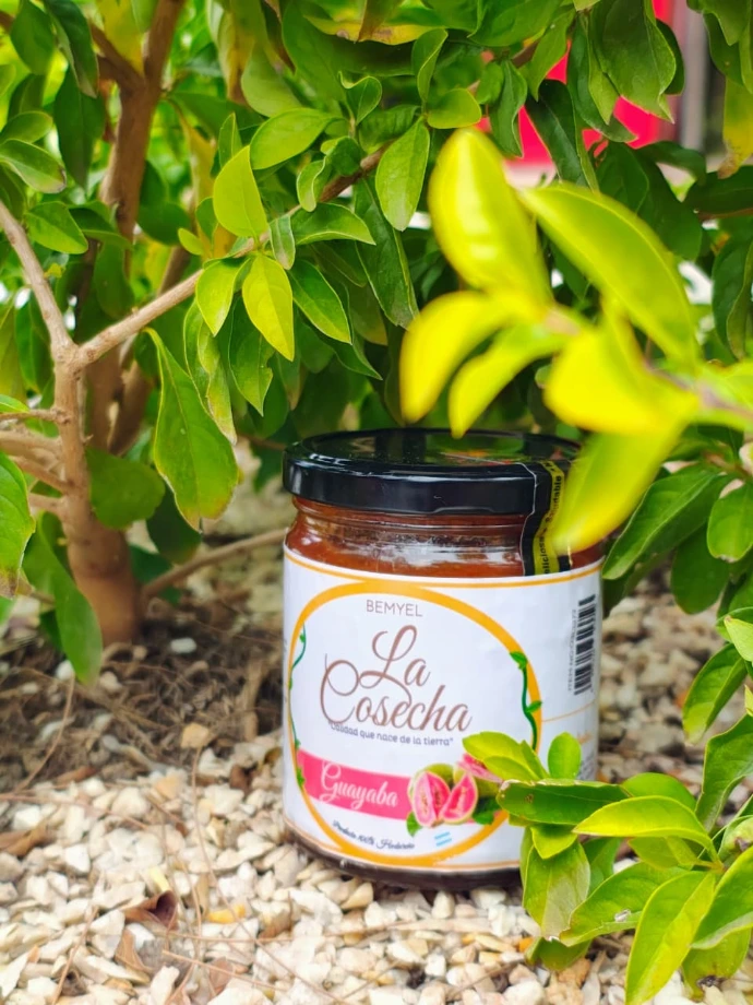 Mermelada de Guayaba