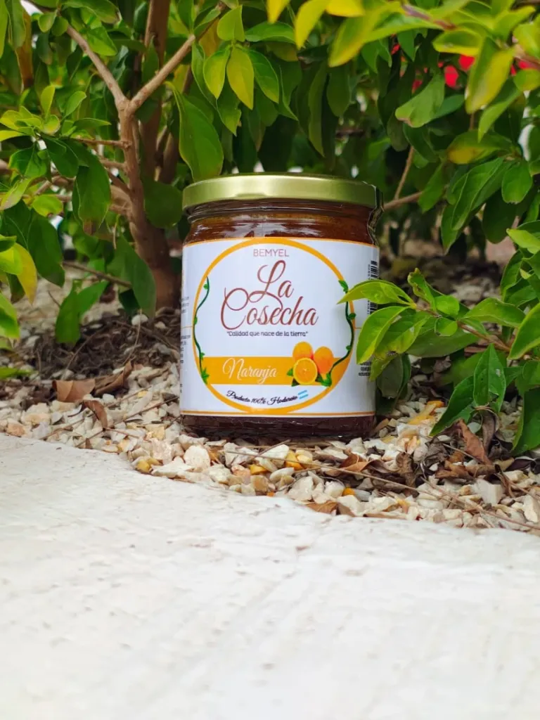 Mermelada de Naranja